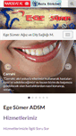 Mobile Screenshot of egesumer.com